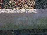 image of grave number 912462